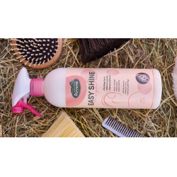 Easy Shine Ravene Eco-Recarga Easy Shine Ravene Eco-Recarga