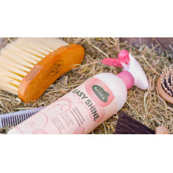 Easy Shine Ravene Eco-Recarga Easy Shine Ravene Eco-Recarga