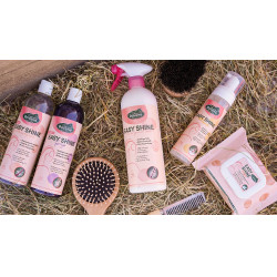 Easy Shine Ravene Eco-Recarga Easy Shine Ravene Eco-Recarga