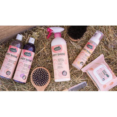 Easy Shine Ravene Eco-Recarga Easy Shine Ravene Eco-Recarga