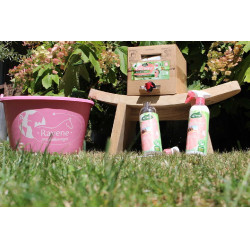 Easy Shine Ravene Eco-Recarga Easy Shine Ravene Eco-Recarga