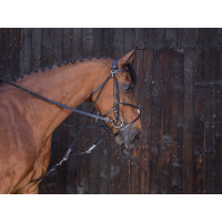 Gogue com roldanas Riding World Havana Castanho
