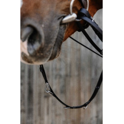 Enrêne Norton Pro Thiedeman