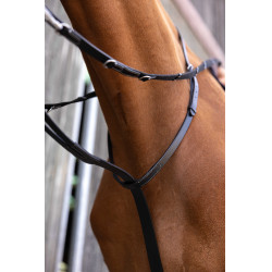 Enrêne Norton Pro Thiedeman