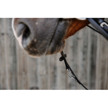 Enrêne Norton Pro Thiedeman