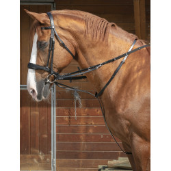 Enrêne Norton Pro Thiedeman