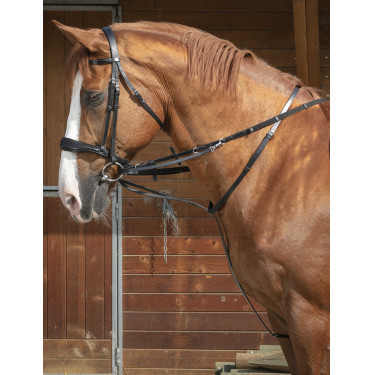 Enrêne Norton Pro Thiedeman