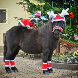 Touca de Natal com orelhas em forma de chifre de rena