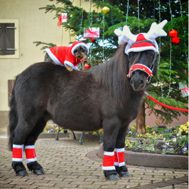 Touca de Natal com orelhas em forma de chifre de rena