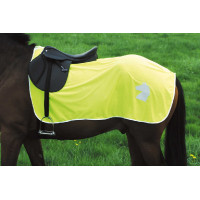 Cobre-rins refletivo Cobre-rins refletivo