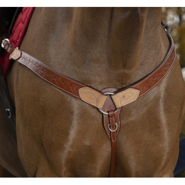 Peitoral Randol'S Two Tone