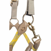 Caveção Lauria Garrelli Limone Sportive