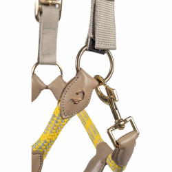 Caveção Lauria Garrelli Limone Sportive