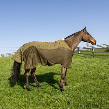 Transporte Combo Cooler Fleece Kentucky Verde pinho Transporte Combo Cooler Fleece Kentucky Verde pinho
