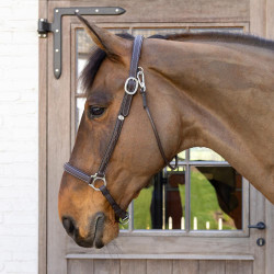 Caveção de Escovagem Working By Dy'on Castanho