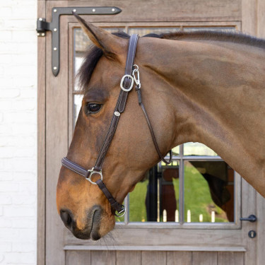 Caveção de Escovagem Working By Dy'on Castanho