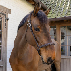 Caveção de Escovagem Working By Dy'on Castanho