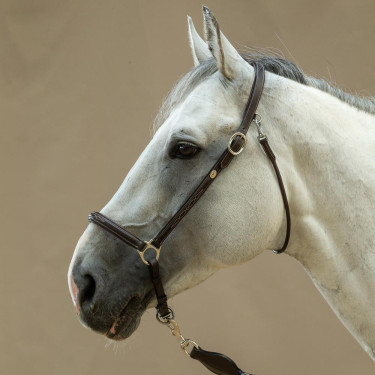 Caveção de Escovagem Working By Dy'on Castanho