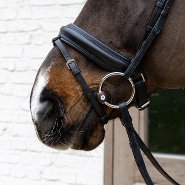 Bridão de argolas Flex Hard Velari