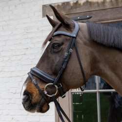 Bridão de argolas Flex Hard Velari