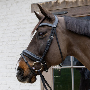 Bridão de argolas Flex Hard Velari