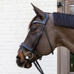 Bridão de anéis Flex Soft Velari