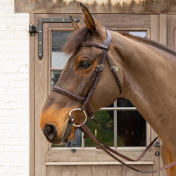 Mors de azeitona Flex Hard Velari