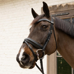 Mors de azeitona Flex Hard Velari