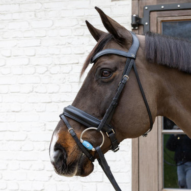 Bocado de azeitona Flex Medium Velari