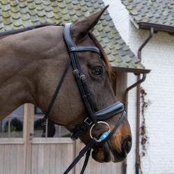 Bocado de azeitona Flex Medium Velari