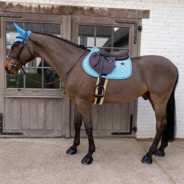 Manta de sela Velvet Pied-de-Poule Jumping Kentucky Marinho / colorido Azul