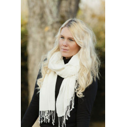 Cachecol Back On Track