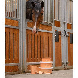 Colher para mash Waldhausen Pêssego Rosa