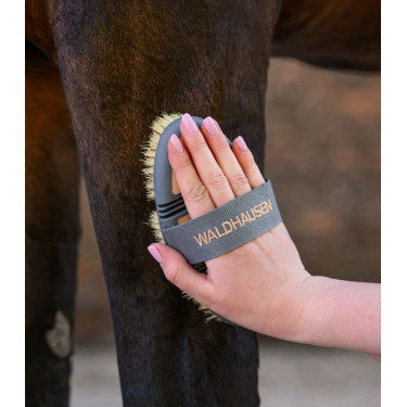Escova de cerdas duras Waldhausen Flex Pêssego Rosa
