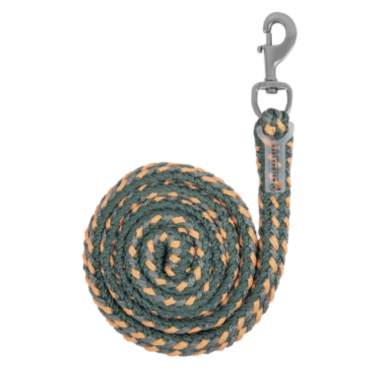 Cabo de condução Waldhausen Plus com mosquetão Verde pinho / pêssego / cinzento cromado