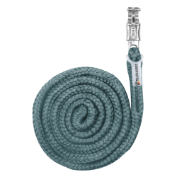 Cabo de condução Waldhausen Economic com mosquetão anti-pânico Verde pinho