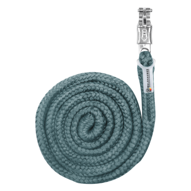 Cabo de condução Waldhausen Economic com mosquetão anti-pânico Verde pinho