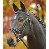 Bridon Star Diamond Azul