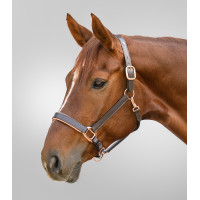 Cabeçada de couro Rosé Waldhausen X-Line Castanho Cabeçada de couro Rosé Waldhausen X-Line Castanho