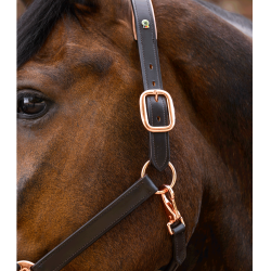 Cabeçada de couro Rosé Waldhausen X-Line Castanho Cabeçada de couro Rosé Waldhausen X-Line Castanho