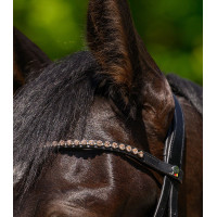Frontal Glam preto X-Line Waldhausen Preto / pêssego