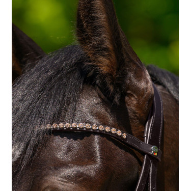 Frontal X-Line Waldhausen Glam Castanho / pêssego