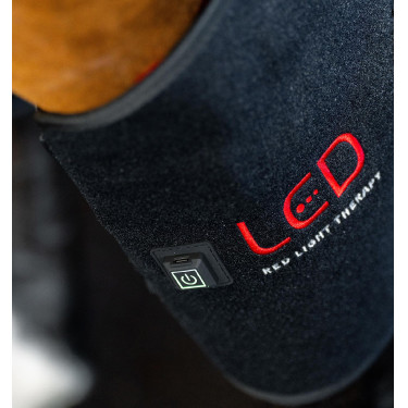 Proteção de curvilhão de terapia Horseware com luz LED vermelha Preto / preto