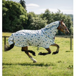 Camisa anti-moscas Horseware Amigo Bug Rug XL Plus Padrão libélula / prata / azul / sálvia Motivos Camisa anti-moscas Horseware Amigo Bug Rug XL Plus Padrão libélula / prata / azul / sálvia Motivos