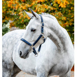 Caveção de limpeza Horseware Marinho Azul-marinho