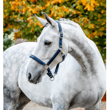 Caveção de limpeza Horseware Marinho Azul-marinho