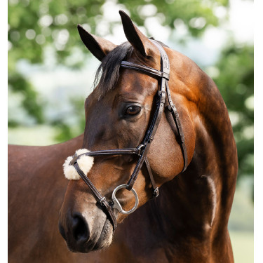 Bridle Grackle em forma de 8 Horseware muserola cruzada Castanho