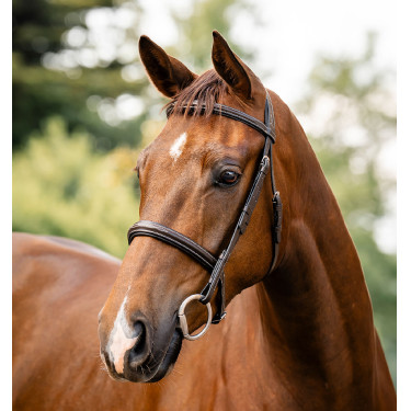 Bridão Horseware Hunter Castanho / havana
