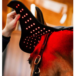 Touca de Terapia por Luz Vermelha LED Horseware Preto / preto