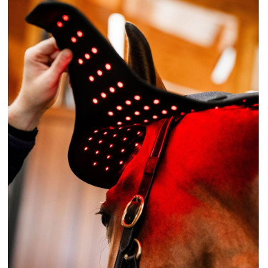 Touca de Terapia por Luz Vermelha LED Horseware Preto / preto